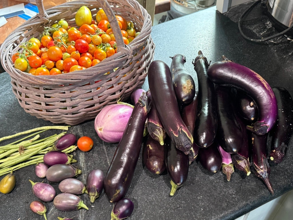 Homegrown Harvest